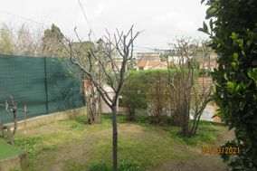 Photo n°2