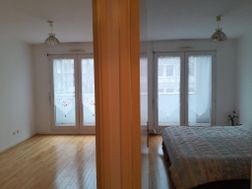 Photo n°6