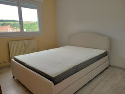 Photo n°6