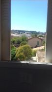 Photo n°4