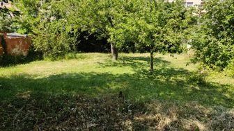 Photo n°4