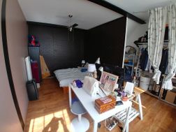 Photo n°6