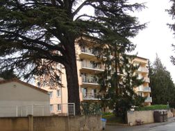 Photo n°1