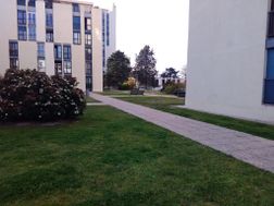 Photo n°9