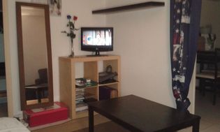Photo n°4