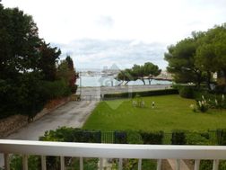 Photo n°1