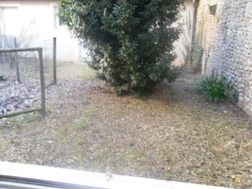 Photo n°3