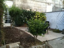 Photo n°5