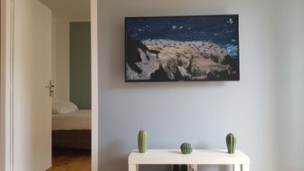 Photo n°1