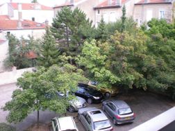 Photo n°3