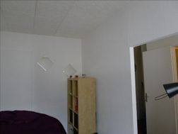 Photo n°2