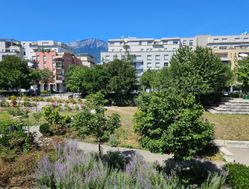 Photo n°1