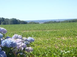 Photo n°6