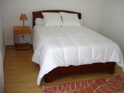 Photo n°3