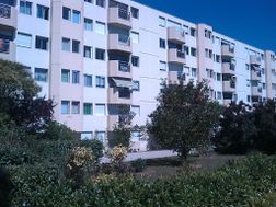 Photo n°4