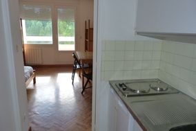 Photo n°4