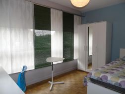 Photo n°3
