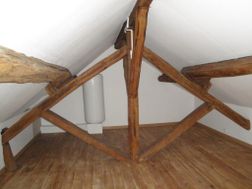 Photo n°6
