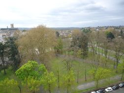 Photo n°5