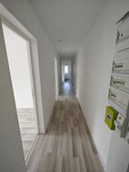 Photo n°6