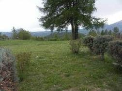 Photo n°4