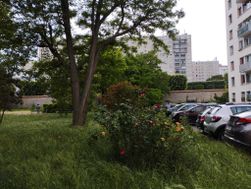 Photo n°3