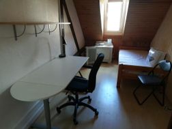 Photo n°2