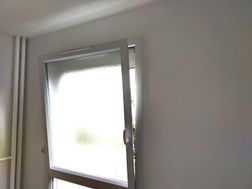 Photo n°6