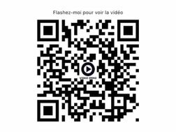 Photo n°4