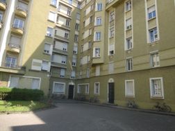 Photo n°5