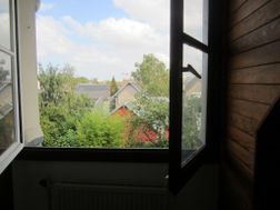 Photo n°7
