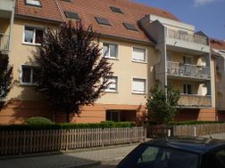 Photo n°1