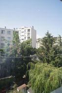 Photo n°7