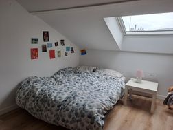 Photo n°5